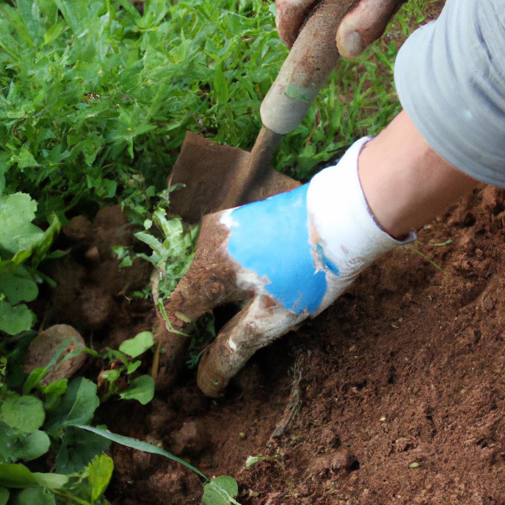 Person tending to healthy soil